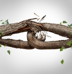 Continuity-of-Recovery-Support