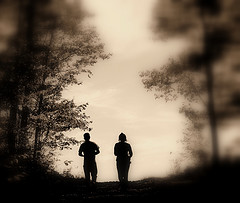 2931888261_c7d2bb40f2_m