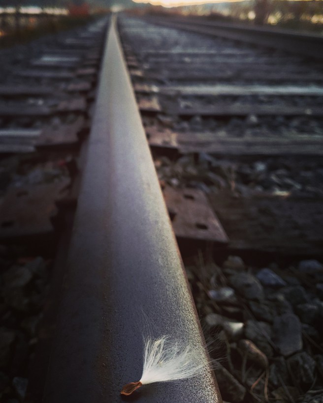 walking the talk of recovery advocacy