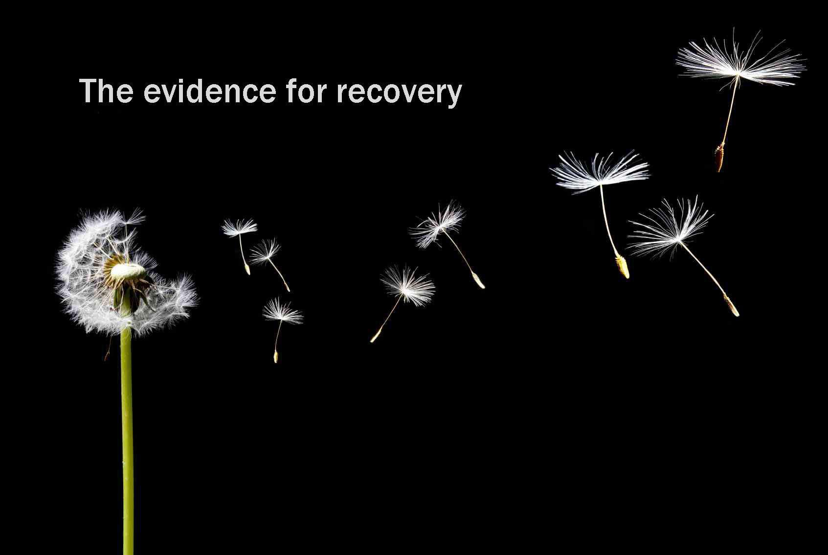 evidence – Recovery Review